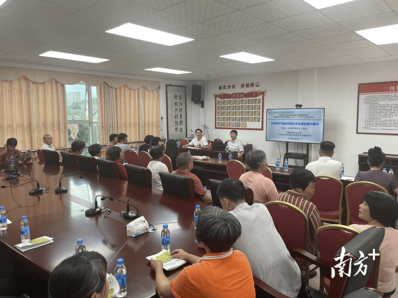 助力水稻增產(chǎn)提質(zhì)！大埔舉辦水稻綠高產(chǎn)高效創(chuàng)建項(xiàng)目技術(shù)培訓(xùn)班:水稻高產(chǎn)