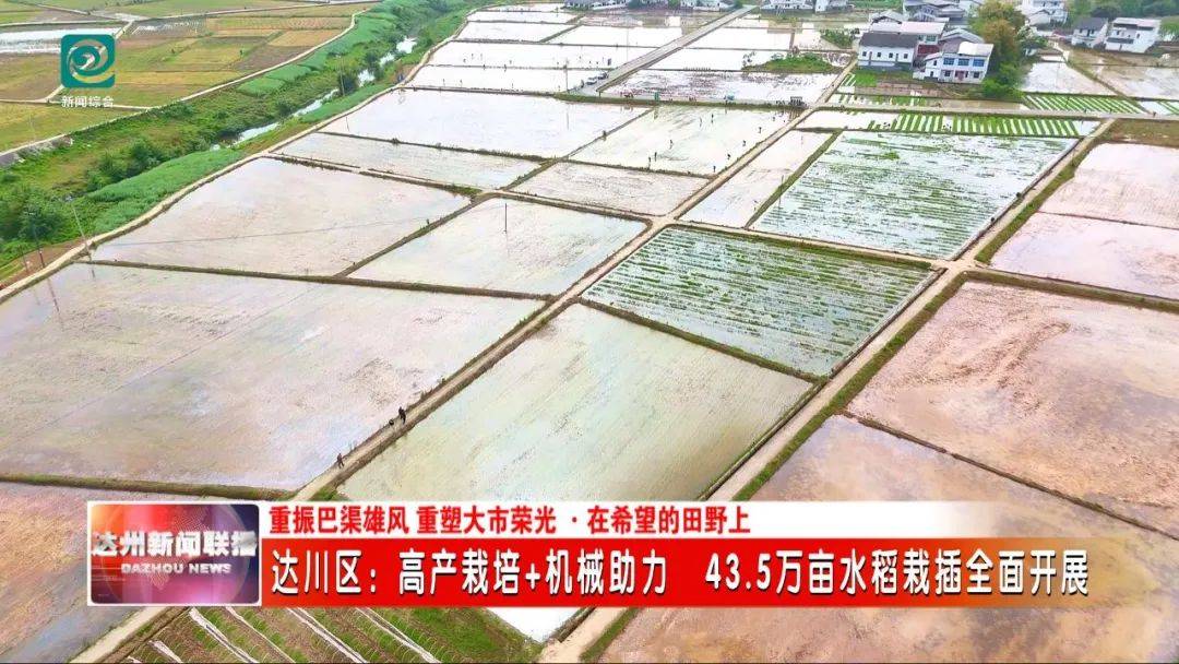 高產(chǎn)栽培+機(jī)械助力 43.5萬畝水稻栽插全面開展:水稻高產(chǎn)
