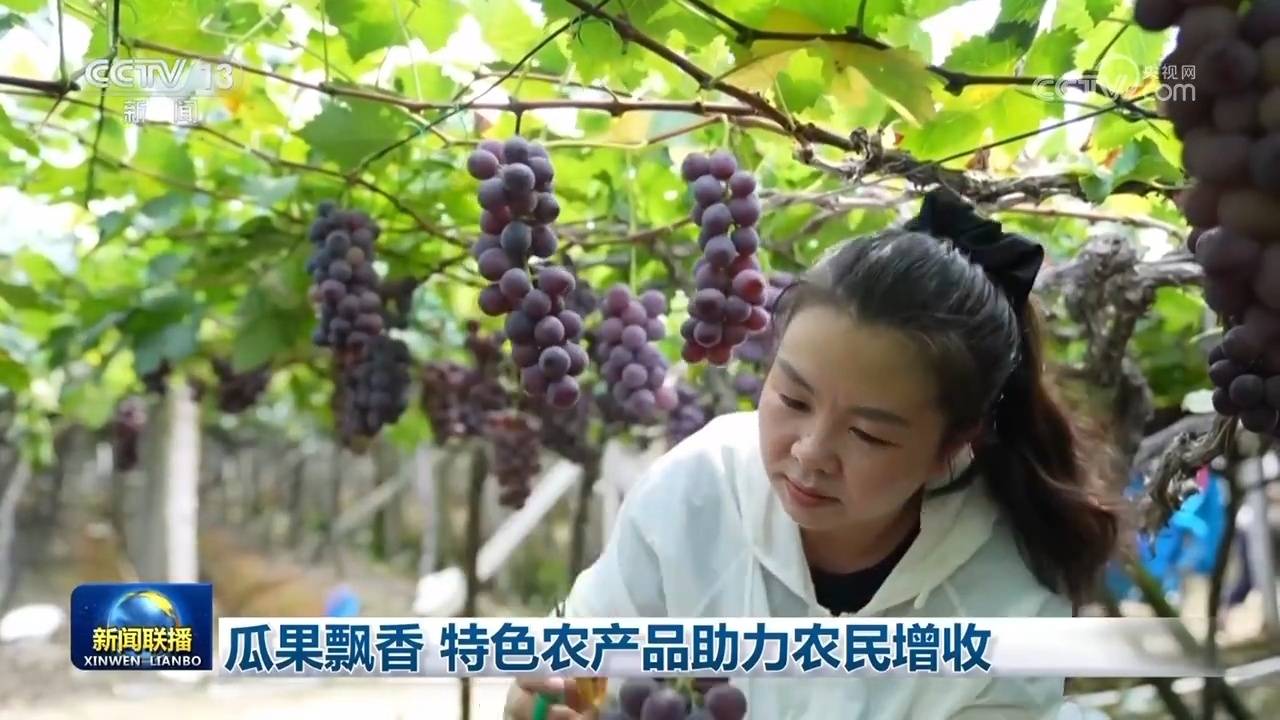 瓜果飄香 特農(nóng)產(chǎn)品助力農(nóng)民增收:農(nóng)產(chǎn)品