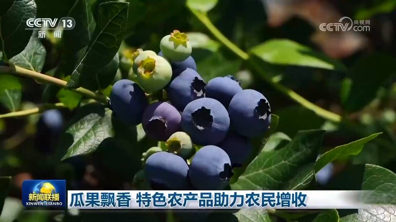 瓜果飄香 特色農(nóng)產(chǎn)品助力農(nóng)民增收:農(nóng)產(chǎn)品
