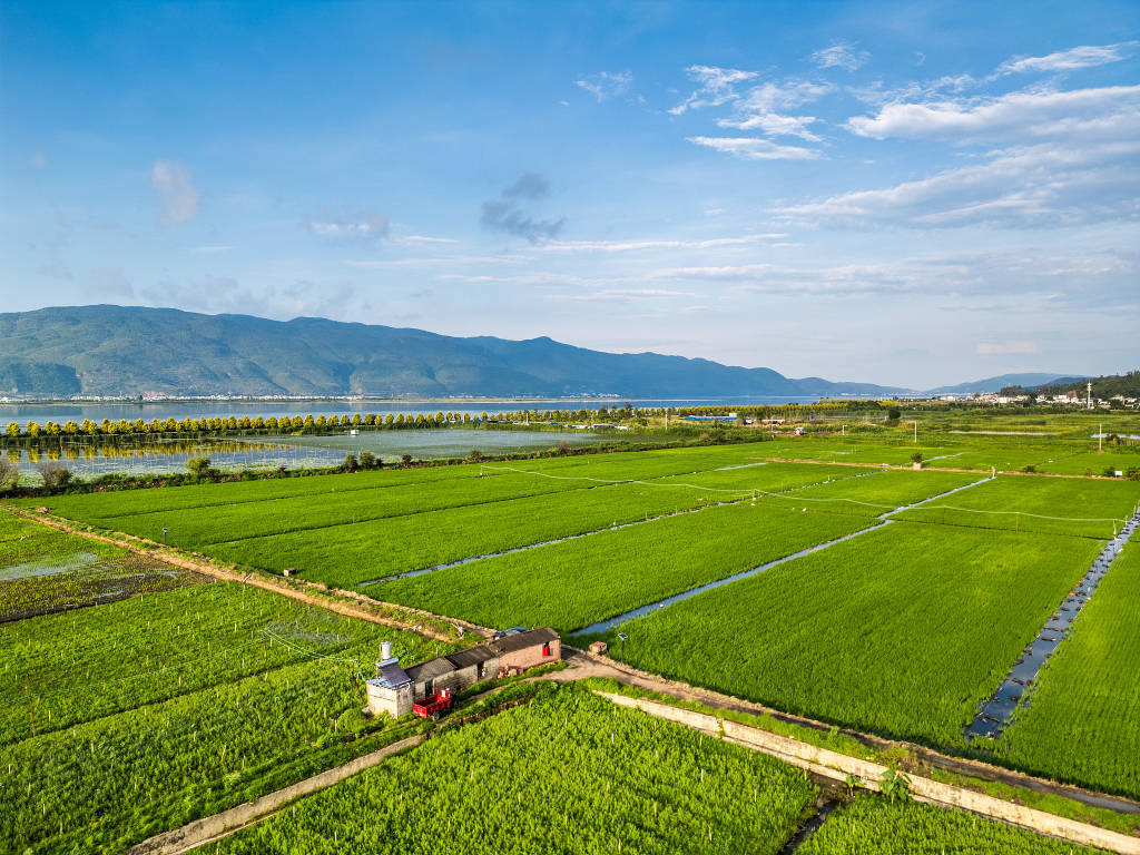 《農(nóng)業(yè)綠發(fā)展報告2024》發(fā)布：農(nóng)業(yè)綠發(fā)展水平穩(wěn)步提升:農(nóng)業(yè)發(fā)展