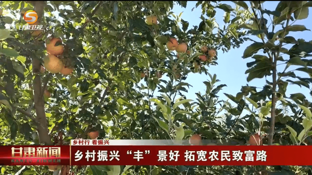 《甘肅新聞》聚焦金昌農(nóng)業(yè)特產(chǎn)業(yè)發(fā)展:農(nóng)業(yè)發(fā)展