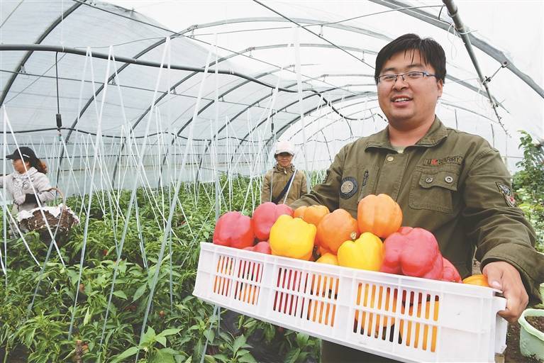 踐行大食物觀 發(fā)展定制農(nóng)業(yè):農(nóng)業(yè)發(fā)展