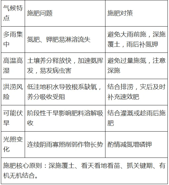 【農村科普】水稻玉米近期科學施肥技術要點:水稻施肥
