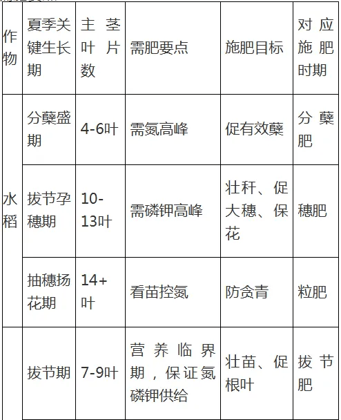 【農村科普】水稻玉米近期科學施肥技術要點:水稻施肥

