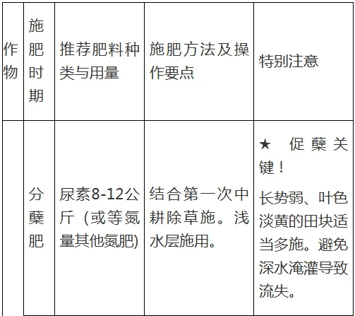 【農村科普】水稻玉米近期科學施肥技術要點:水稻施肥
