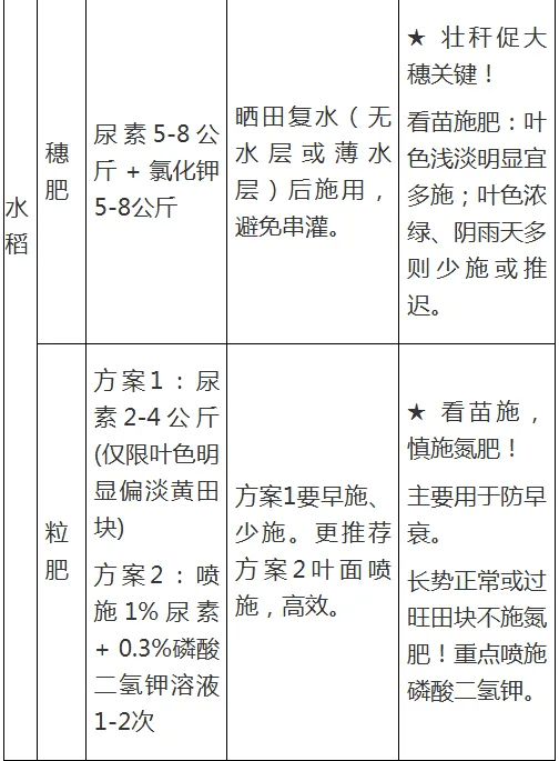 【農村科普】水稻玉米近期科學施肥技術要點:水稻施肥
