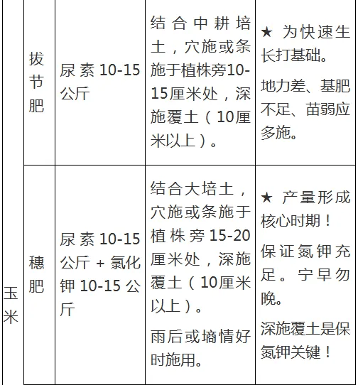 【農村科普】水稻玉米近期科學施肥技術要點:水稻施肥
